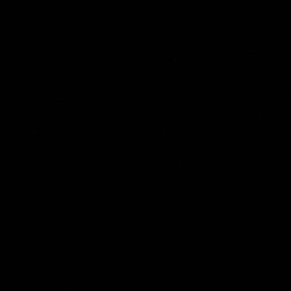 Meet your Posher, Quiana